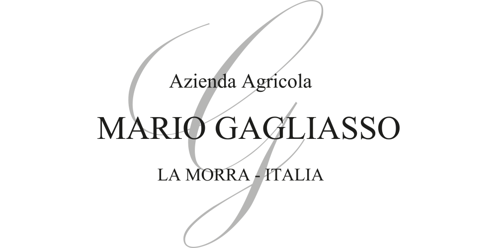 Azienda-Agricola-Gagliasso-La-Morra-Agriturismo-Torriglione-alba